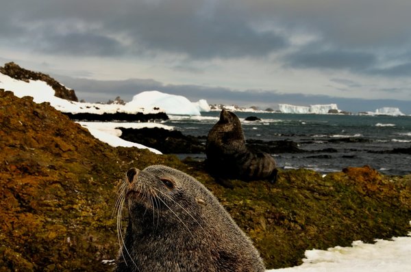 Where can one join a seal and seabird watching cruise in Northumberland?